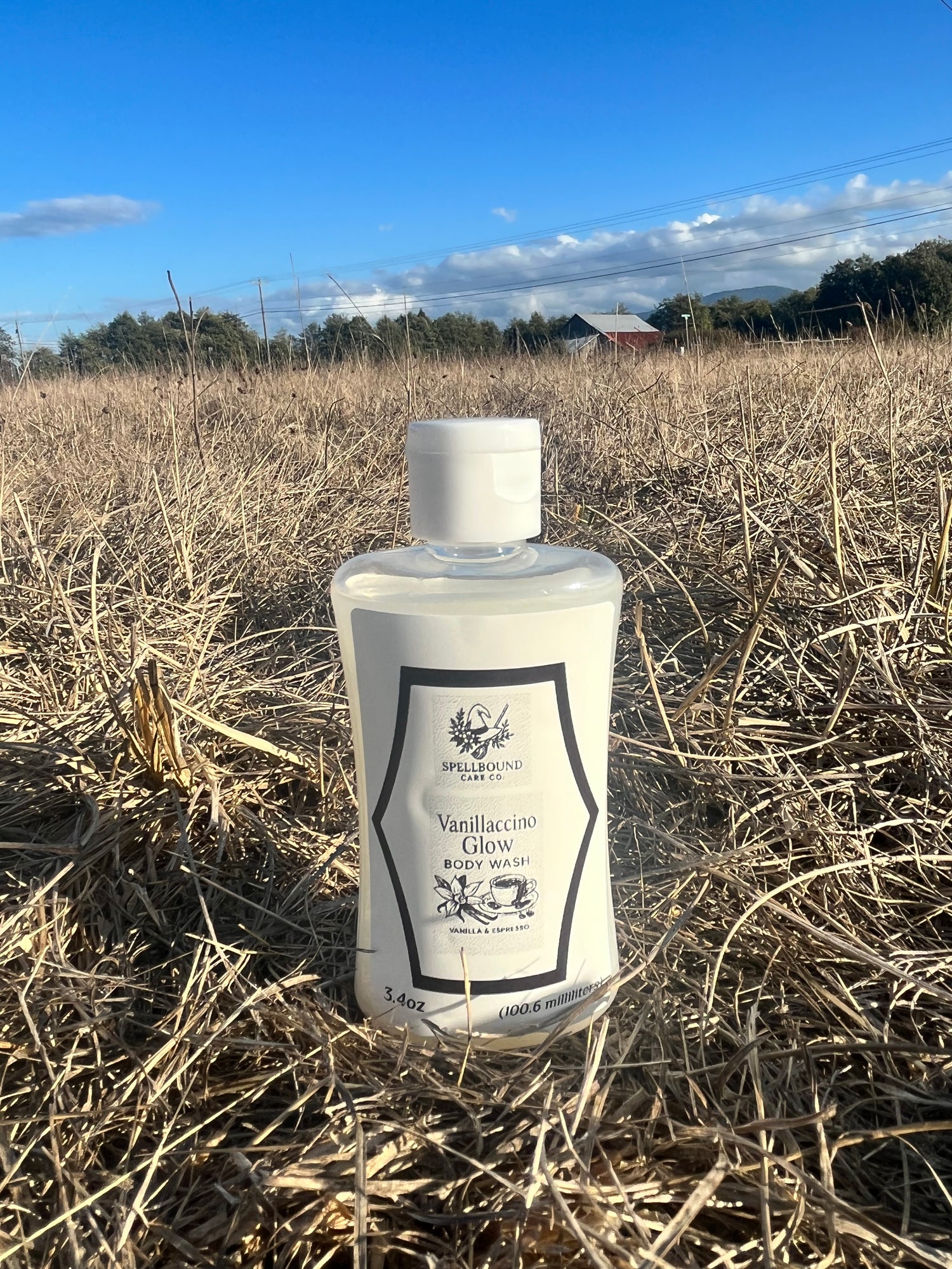 Body wash