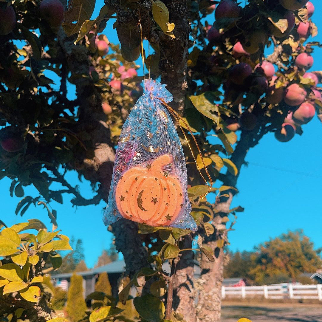 Holiday Pumpkin Soap